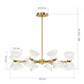 Светильник на штанге ST-Luce SPIRIT SL2004.313.12 в Советском - sovetskiy.ok-mebel.com | фото 3