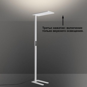 Торшер Novotech STUDI 359545 в Советском - sovetskiy.ok-mebel.com | фото 6