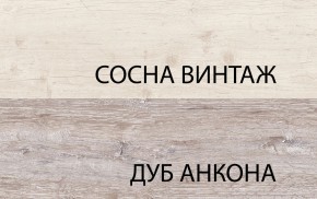 Тумба RTV 1D2SN, MONAKO, цвет Сосна винтаж/дуб анкона в Советском - sovetskiy.ok-mebel.com | фото 3