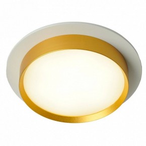 Встраиваемый светильник Feron DL507 51354 в Советском - sovetskiy.ok-mebel.com | фото 3