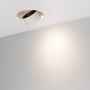 Встраиваемый светильник на штанге Arlight PLURIO 038065 в Советском - sovetskiy.ok-mebel.com | фото 2